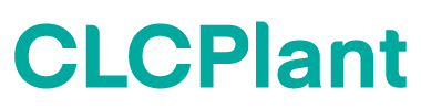Комплексное Решение для Завода по Производству Блоков из Ячеистого Бетона (CLC)