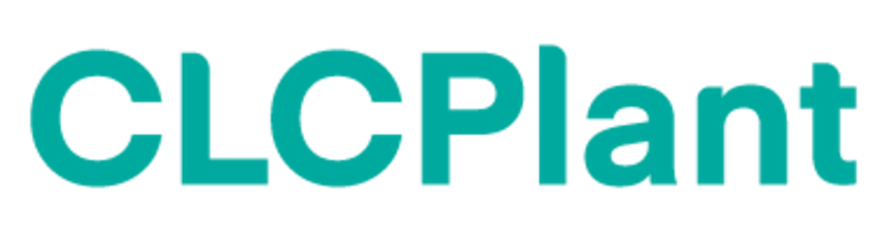 Комплексное Решение для Завода по Производству Блоков из Ячеистого Бетона (CLC)